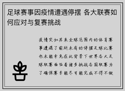 足球赛事因疫情遭遇停摆 各大联赛如何应对与复赛挑战